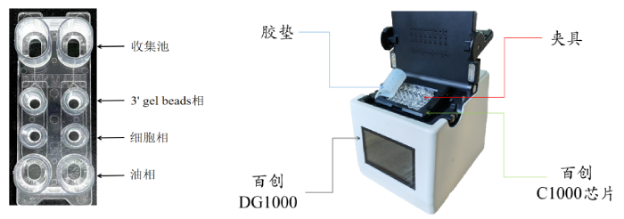 圖1：百創(chuàng)C1000芯片結(jié)構(gòu)（左圖）；百創(chuàng)DG1000微液滴生成儀（右圖）